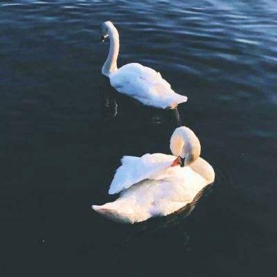 永乐国际下载手机版