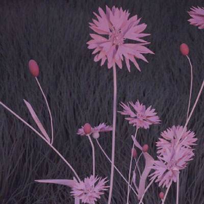 必博手机网页版app下载