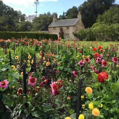 im电竞官方网站